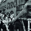 When Elephants Come to Town: A Visual Anthology