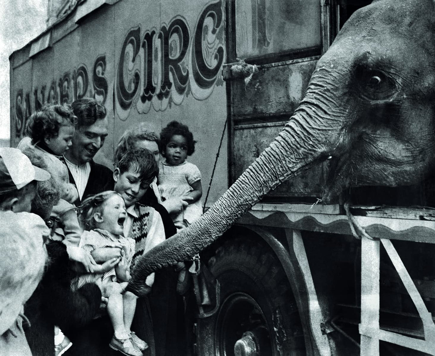 When Elephants Come to Town: A Visual Anthology