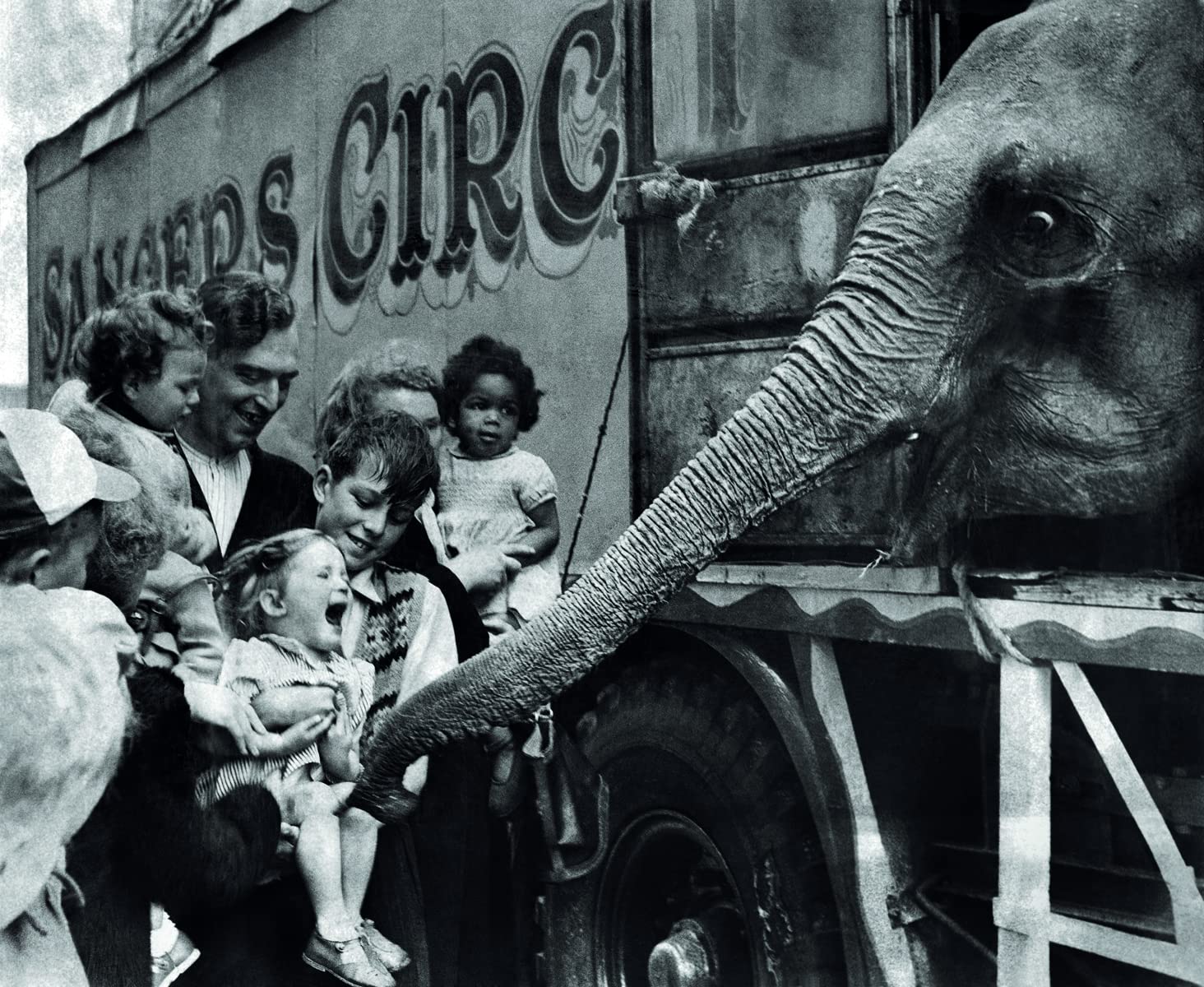 When Elephants Come to Town: A Visual Anthology