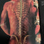 The Architecture and Design of Man and Woman: The Marvel of the Human Body, Revealed
