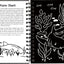 Scratch & Sketch Sharks (Trace Along)