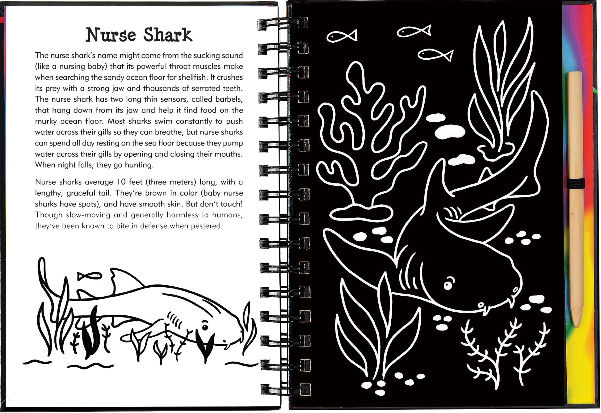 Scratch & Sketch Sharks (Trace Along)