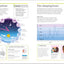 Super Simple Psychology: The Ultimate Bitesize Study Guide (DK Super Simple)