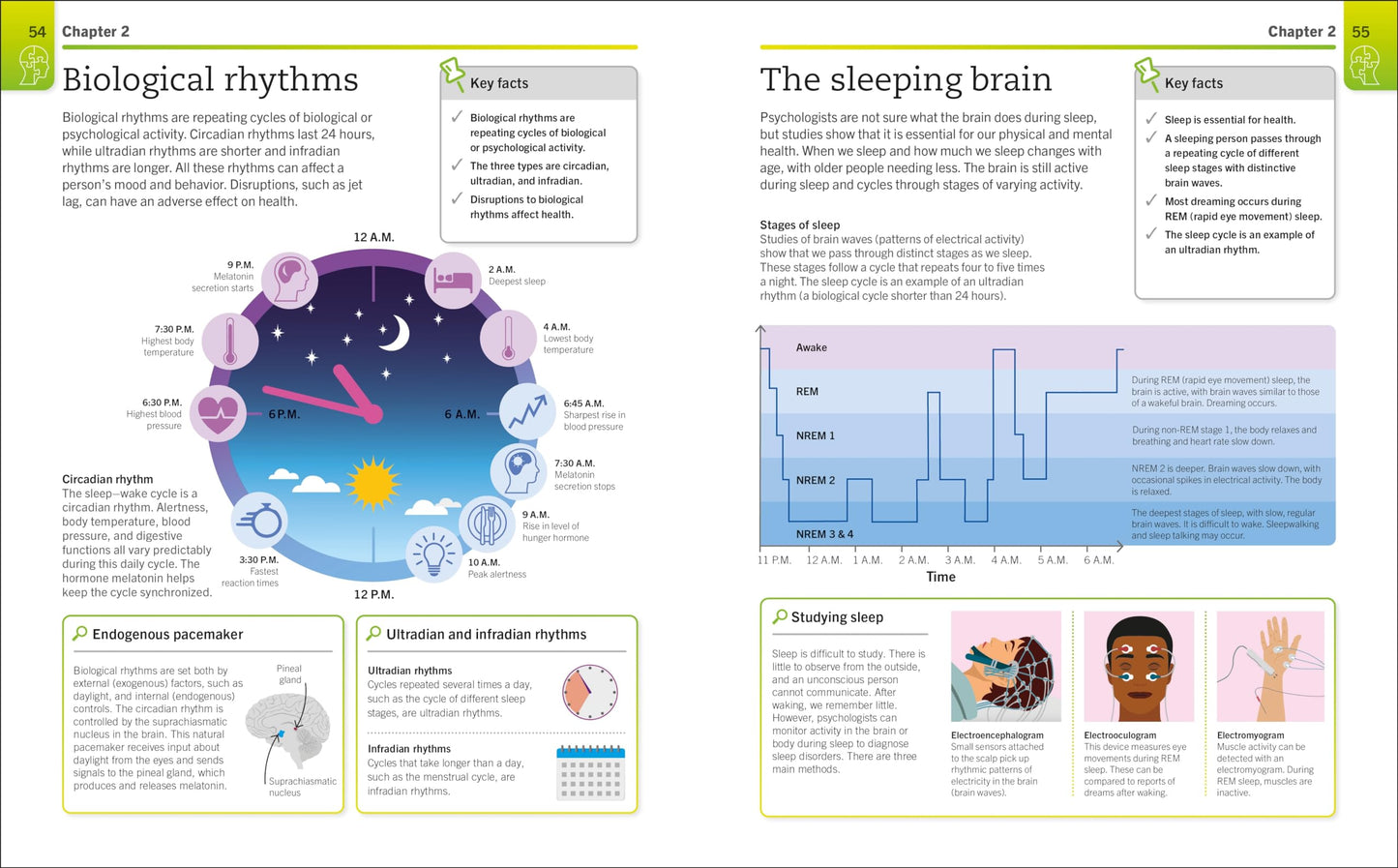 Super Simple Psychology: The Ultimate Bitesize Study Guide (DK Super Simple)