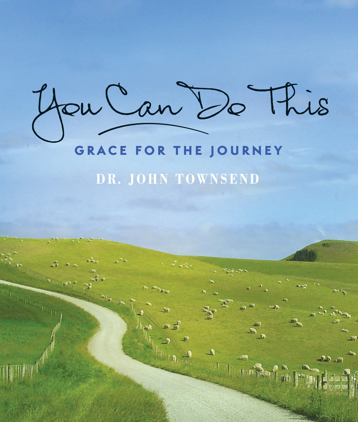 You Can Do This!: Turning Challenges into Opportunities