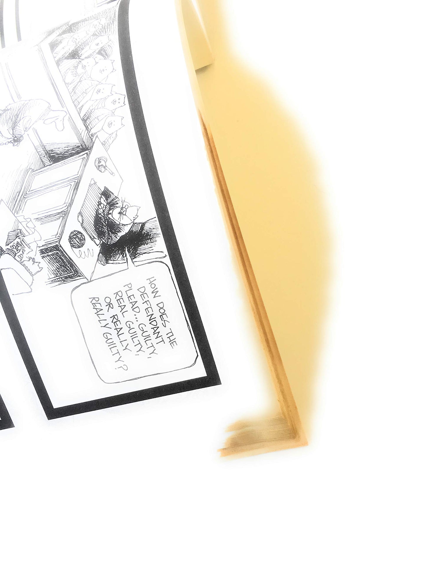 The Legal Lampoon: A Biased, Unfair, and completely accurate law review from Non Sequitur