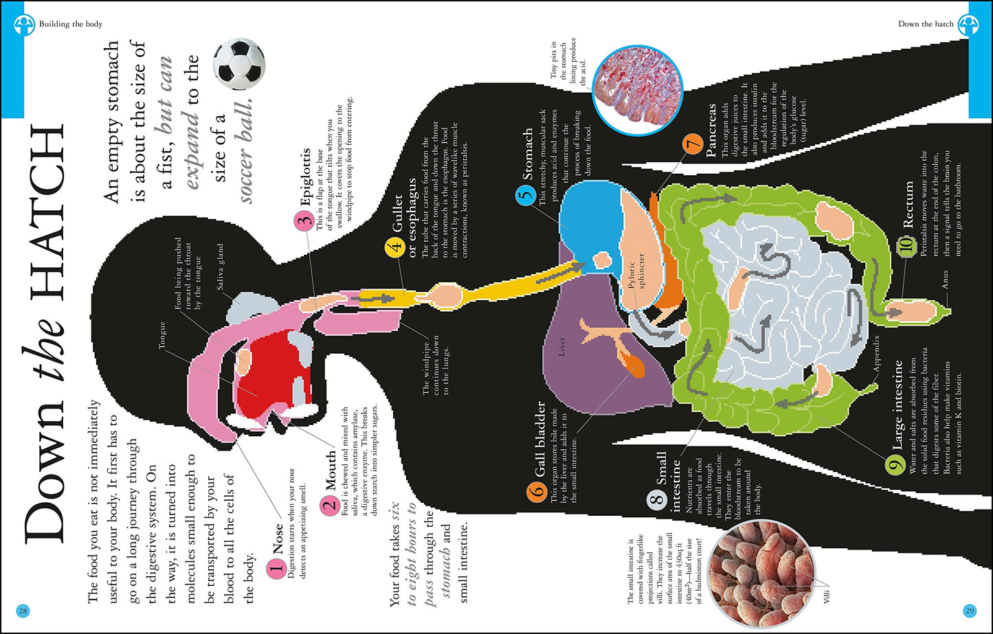 Are You What You Eat? by DK