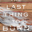 The Last Thing to Burn: A Novel