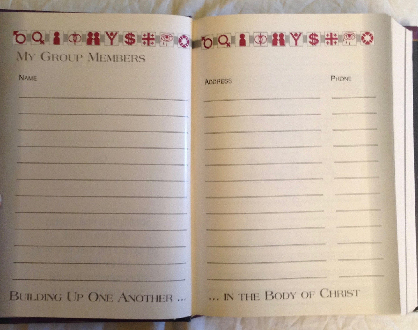 Catholic Serendiptiy Bible for Personal and Small Group Study [NAB - New American Bible]
