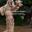 Laura Anderson Barbata: Transcommunality: Interventions and Collaborations in Stilt Dancing Communities