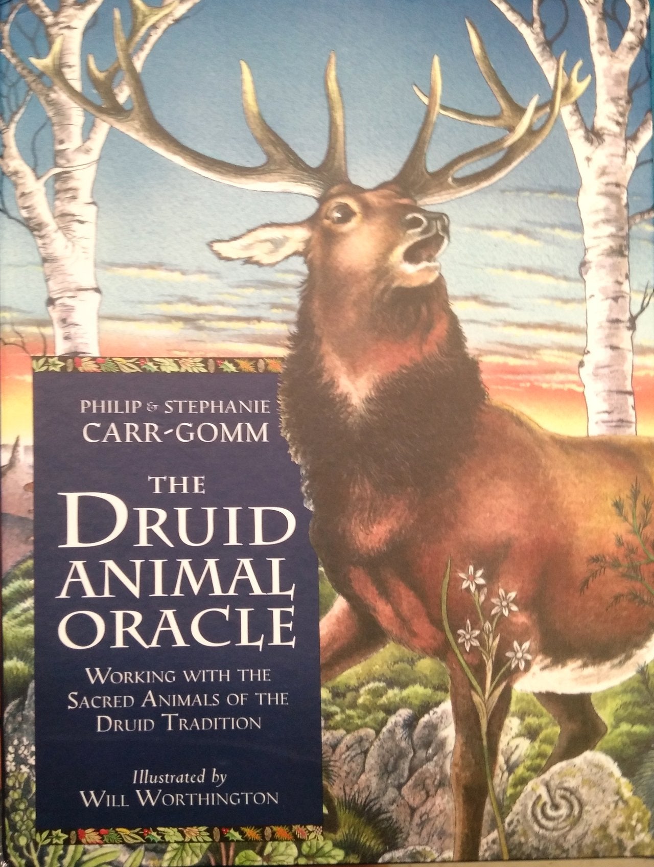 Druid Animal Oracle - Trade Paperback by Philip Carr-Gomm