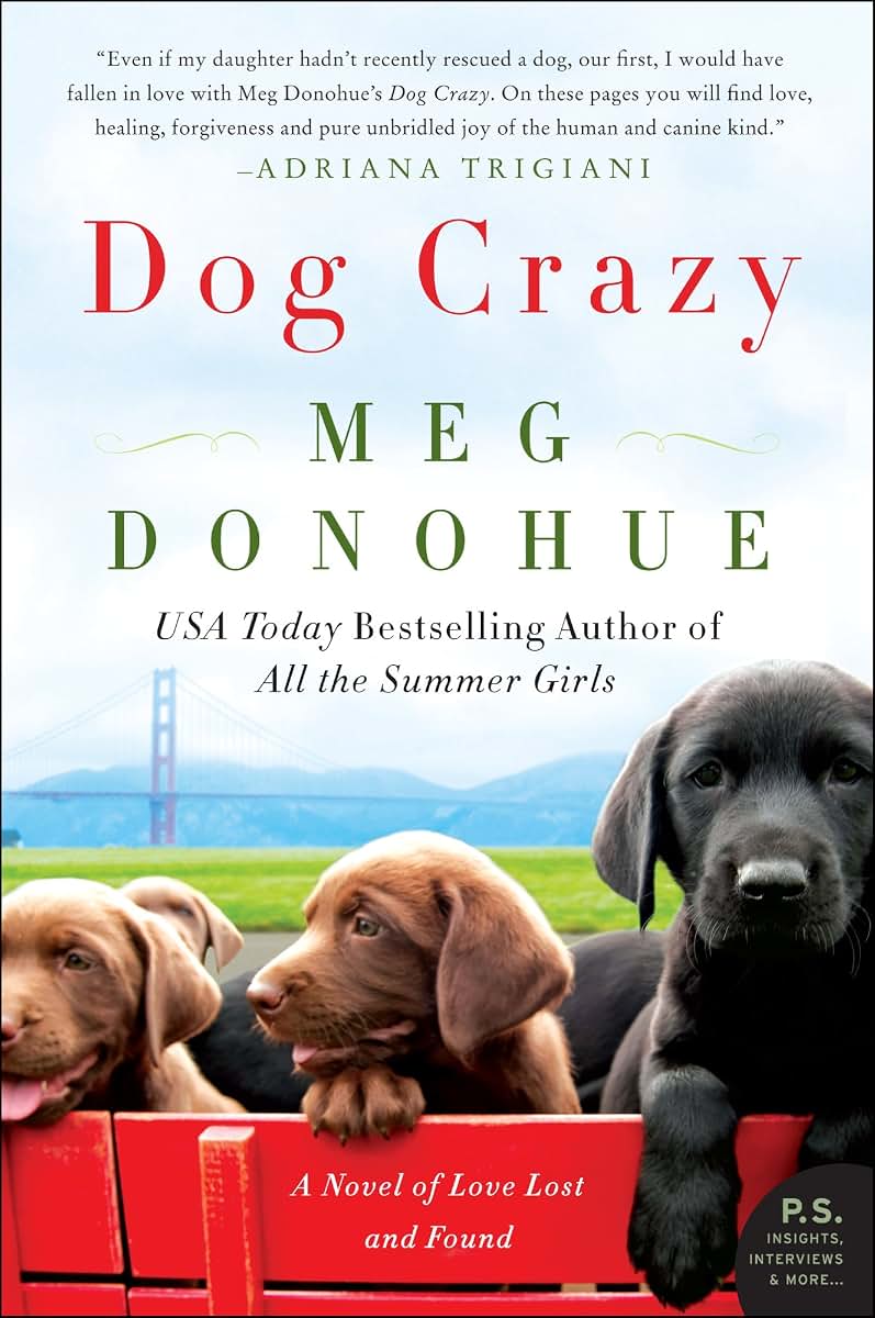 DOG CRAZY