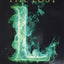 The Lost (Witch & Wizard, 5)