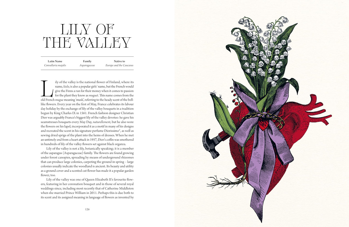 Atlas of Deadly Plants: Botanical Tales of the Worlds Most Intoxicating, Poisonous and Dangerous Specimens