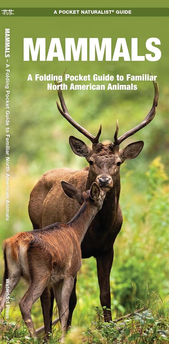 Mammals: A Folding Pocket Guide to Familiar North American Animals (Wildlife and Nature Identification)