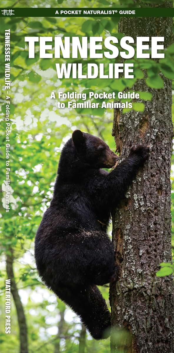 Tennessee Wildlife: A Folding Pocket Guide to Familiar Animals (Nature Observation North America)