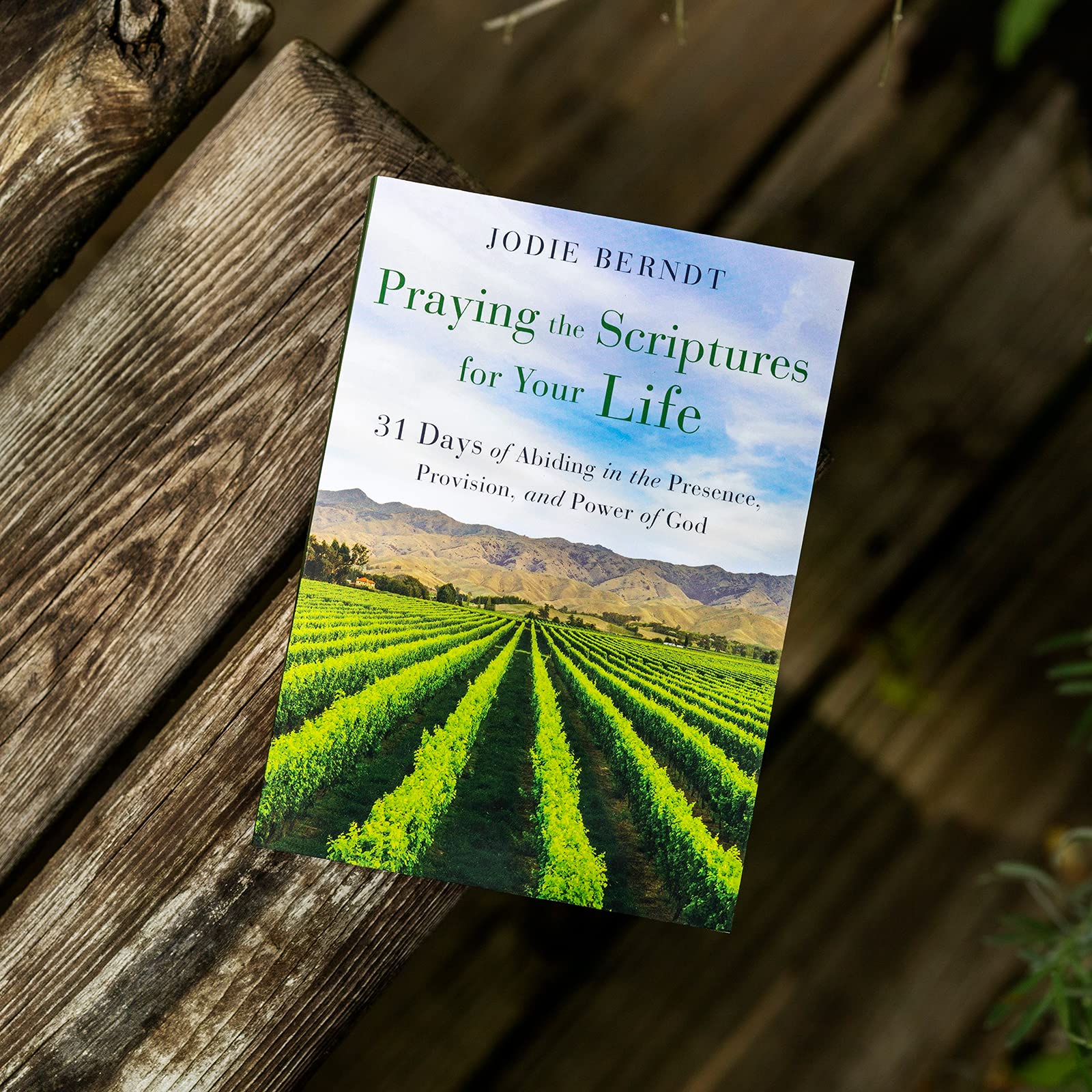 Praying the Scriptures for Your Life: 31 Days of Abiding in the Presence, Provision, and Power of God