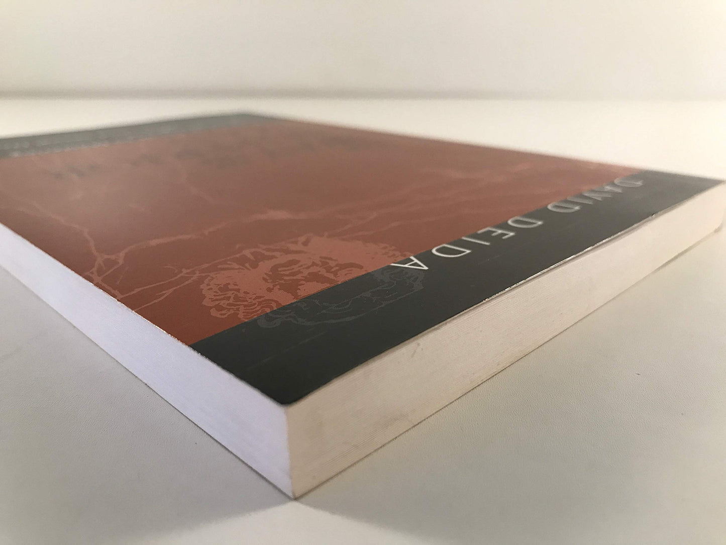The Way of the Superior Man: A Spiritual Guide to Mastering the Challenges of Women, Work, and Sexual Desire