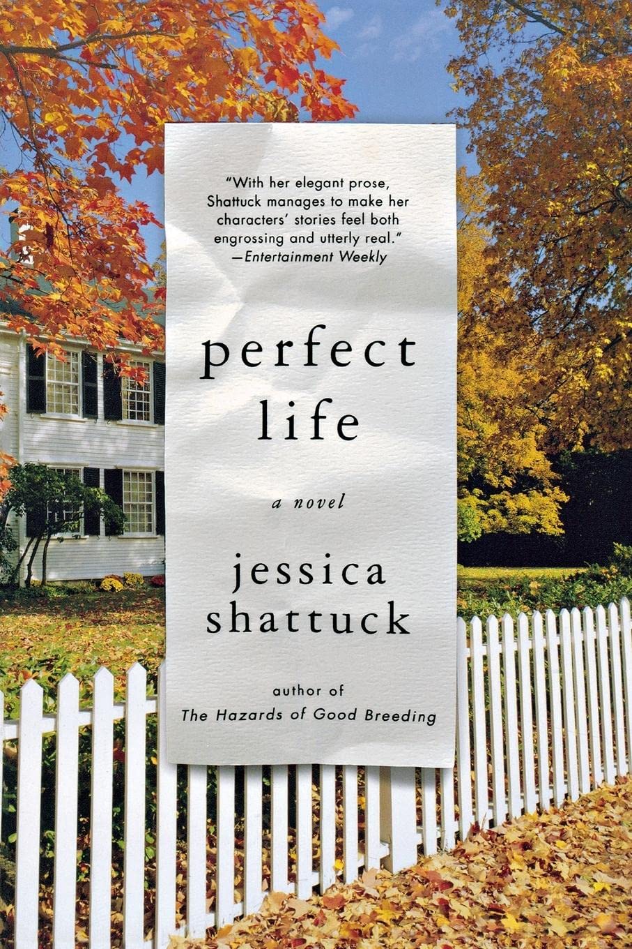 Perfect Life: A Novel