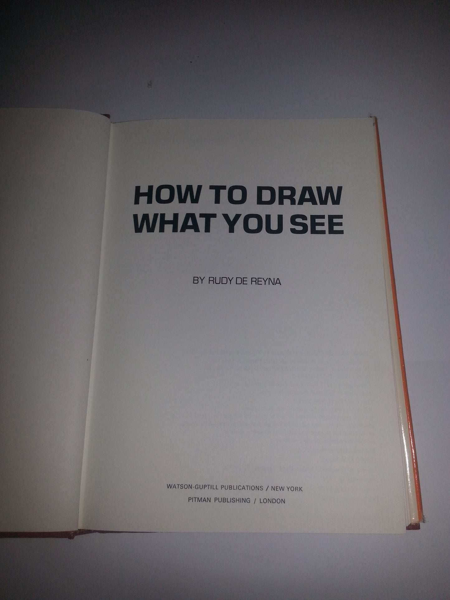 How to Draw What You See by Rudy De Reyna