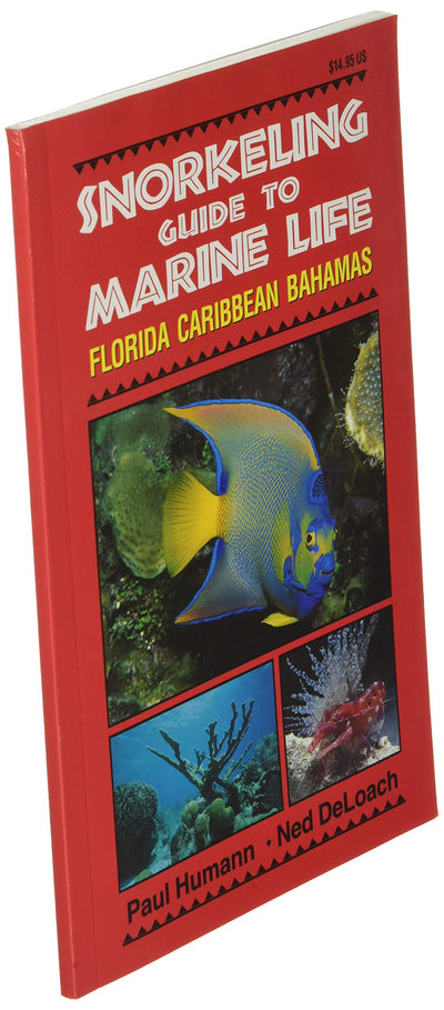 Snorkeling Guide to Marine Life Florida, Caribbean, Bahamas