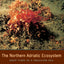 The Northern Adriatic Ecosystem: Deep Time in a Shallow Sea (The Critical Moments and Perspectives in Earth History and Paleobiology)