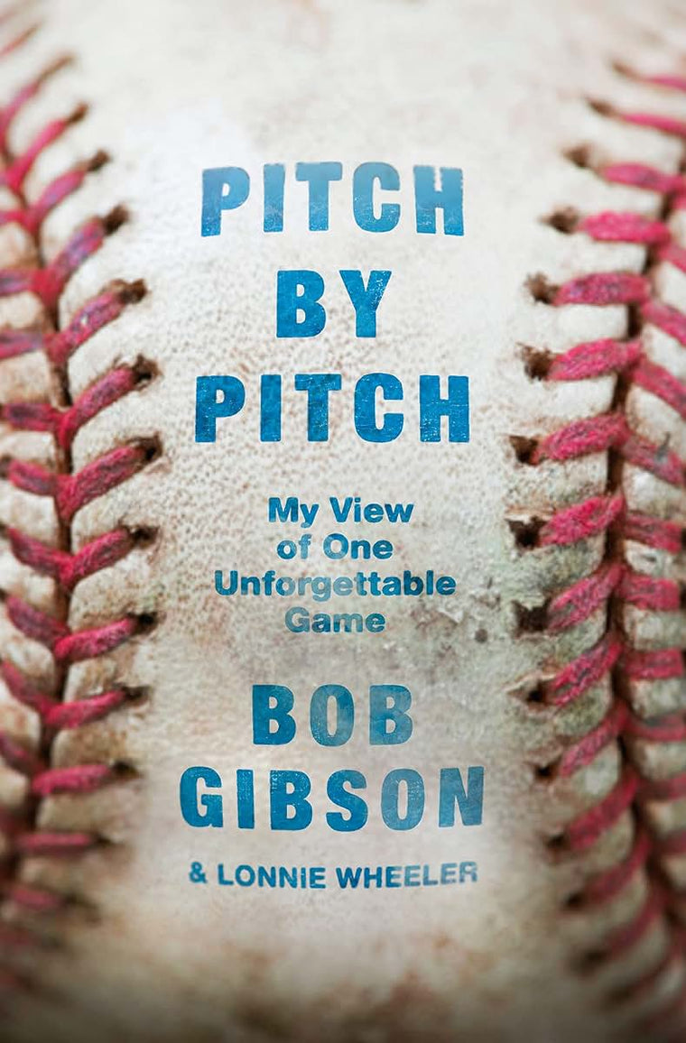 Pitch by Pitch: My View of One Unforgettable Game