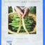 Nutrition and Diet Therapy