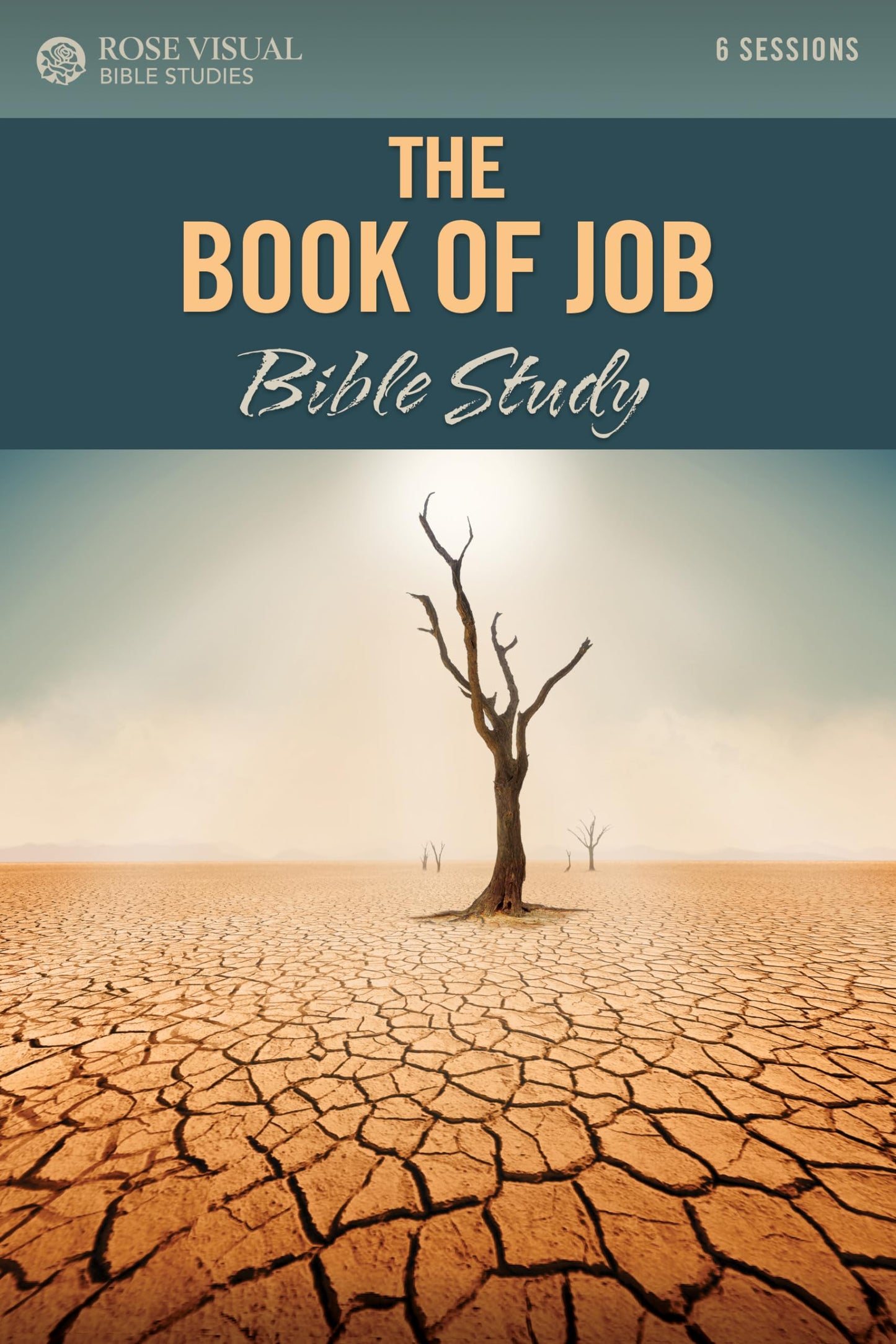The Book of Job Bible Study (Rose Visual Bible Studies)