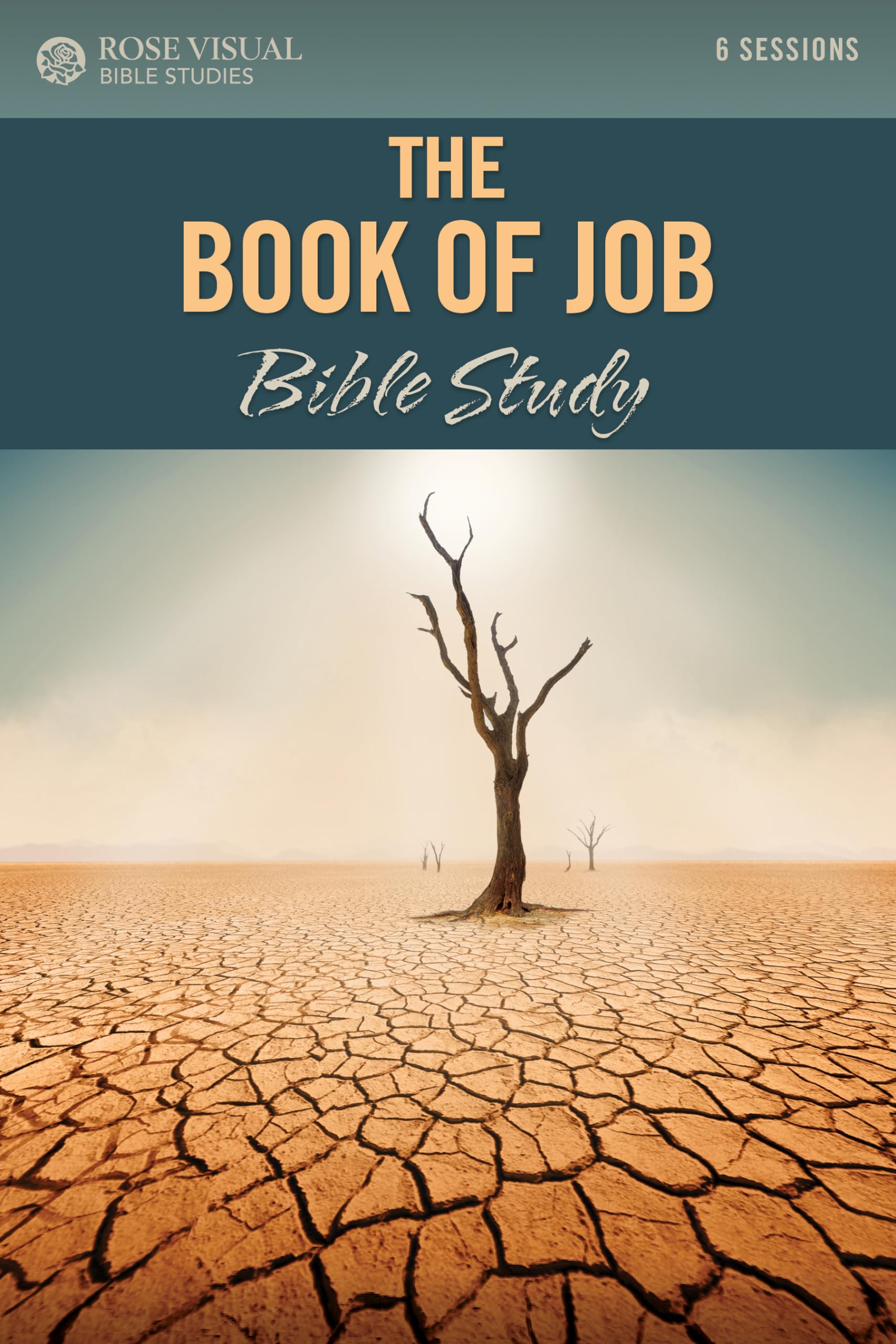 The Book of Job Bible Study (Rose Visual Bible Studies)