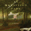 Murder at Mansfield Park: A Novel