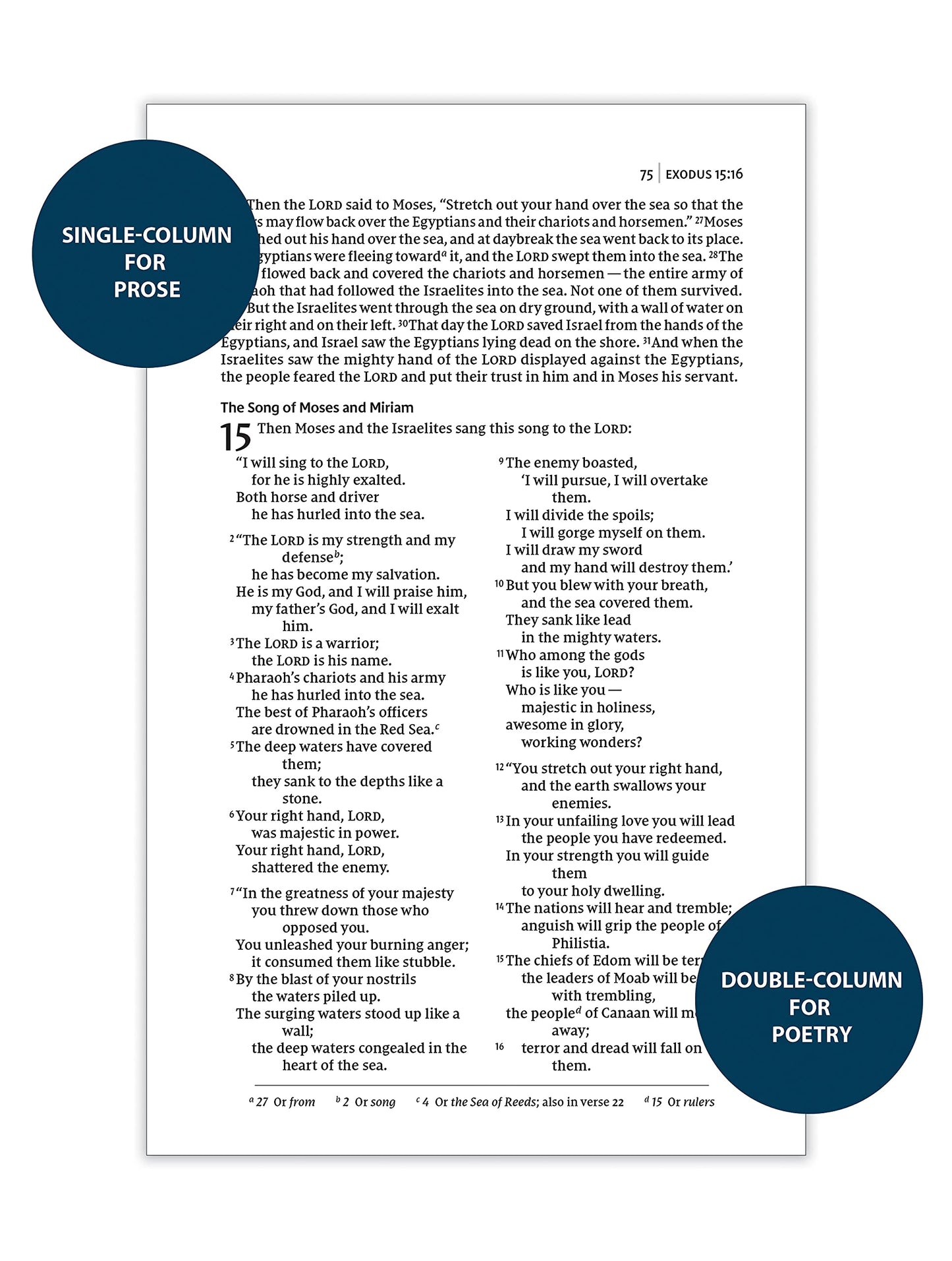 NIV, Thinline Bible, Passaggio Setting, Leathersoft, Brown, Red Letter, Comfort Print: Elegantly uniting single and double columns into one Passaggio Setting Bible design