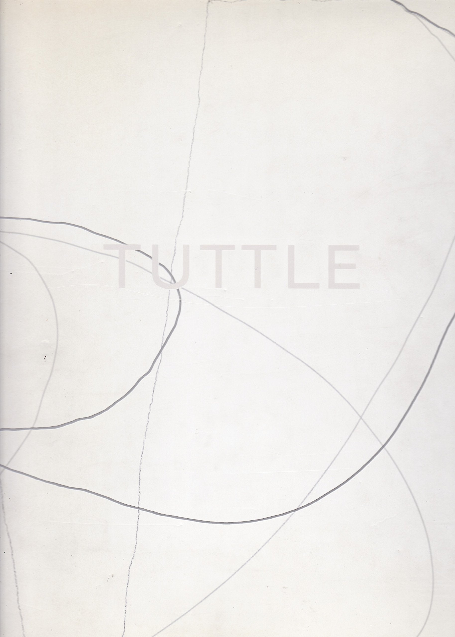 The Art of Richard Tuttle
