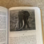 White Hunters: The Golden Age of African Safaris