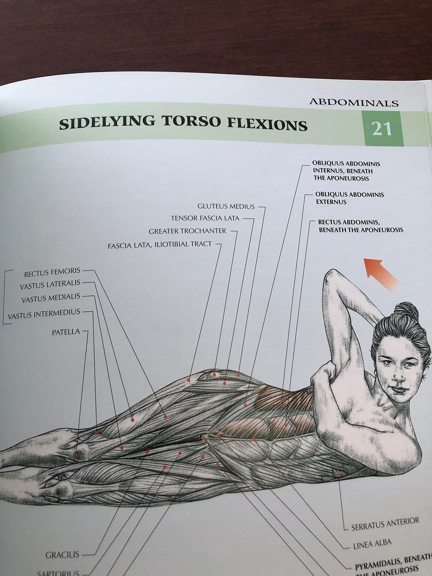 Women's Strength Training Anatomy by Frederic Delavier