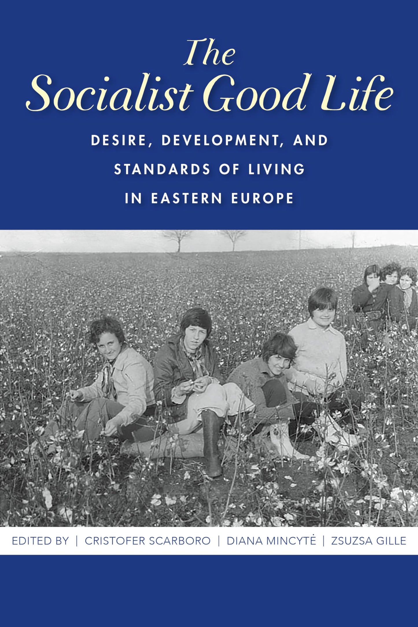 The Socialist Good Life: Desire, Development, and Standards of Living in Eastern Europe