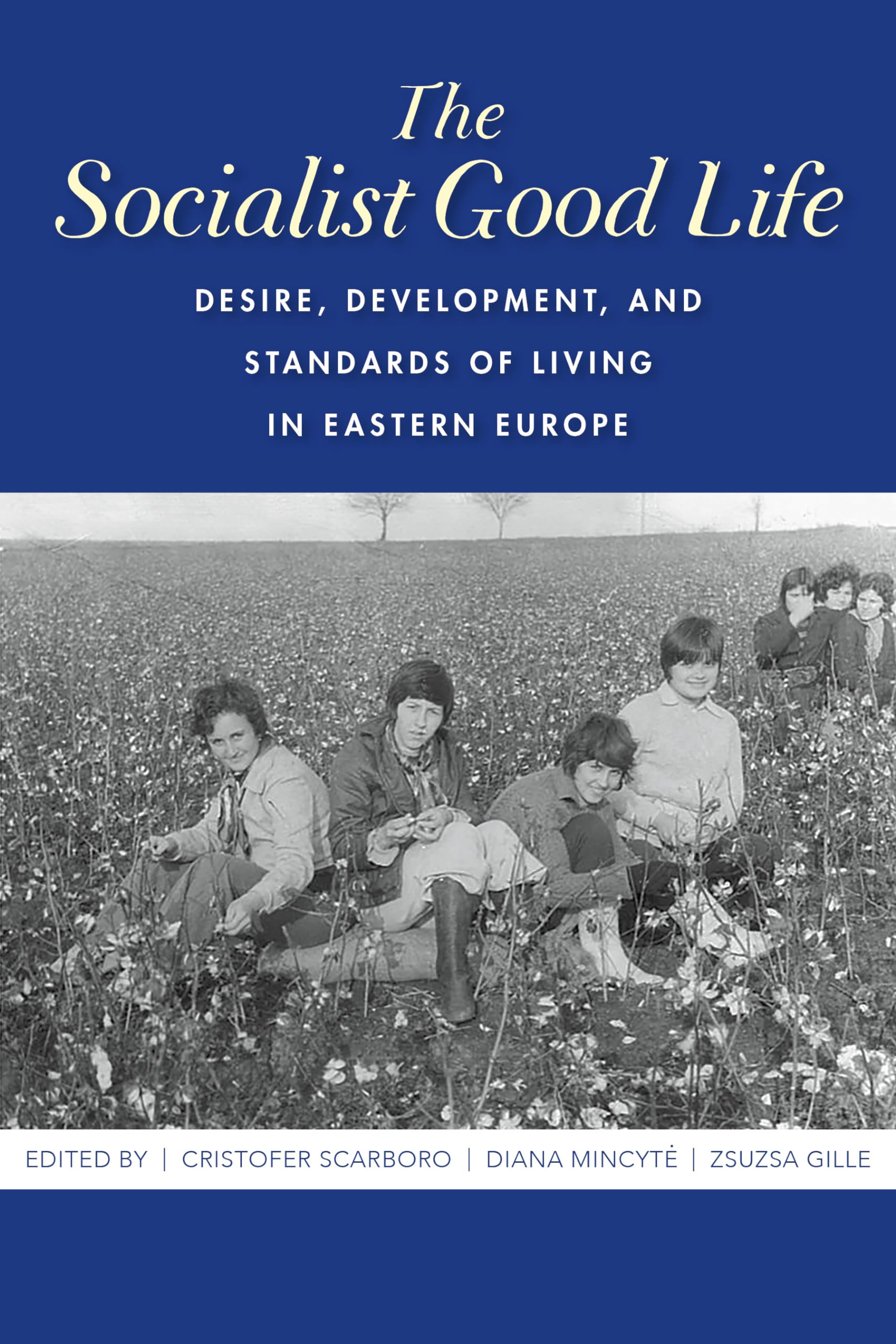 The Socialist Good Life: Desire, Development, and Standards of Living in Eastern Europe