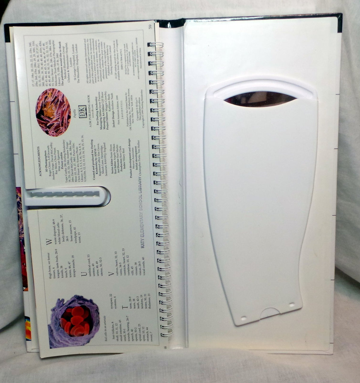 3D Eyewitness: Human Body