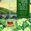 The Druid Plant Oracle: Working with the Magical Flora of th