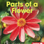 Parts of a Flower (First Step Nonfiction - Pollination)