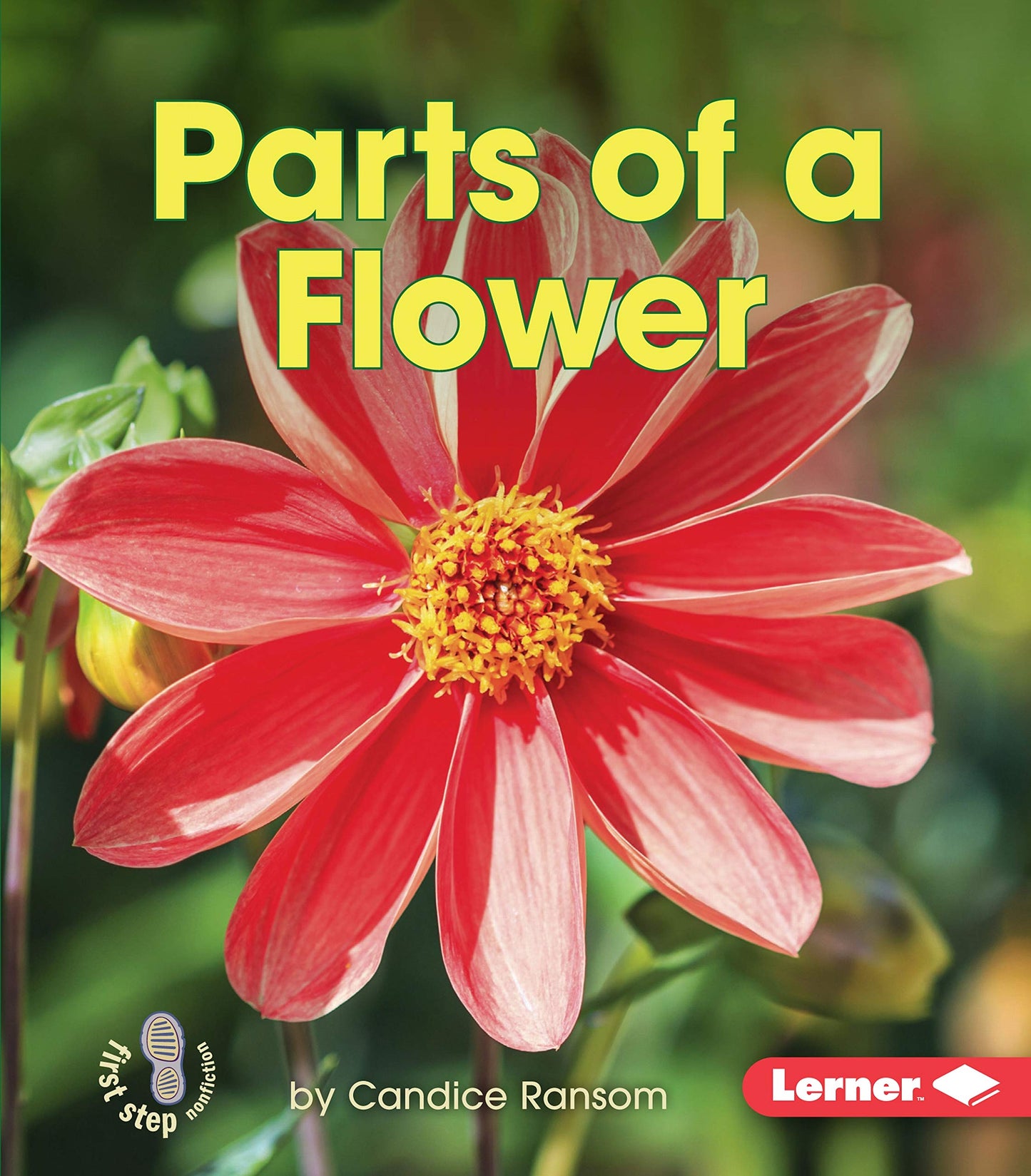Parts of a Flower (First Step Nonfiction - Pollination)