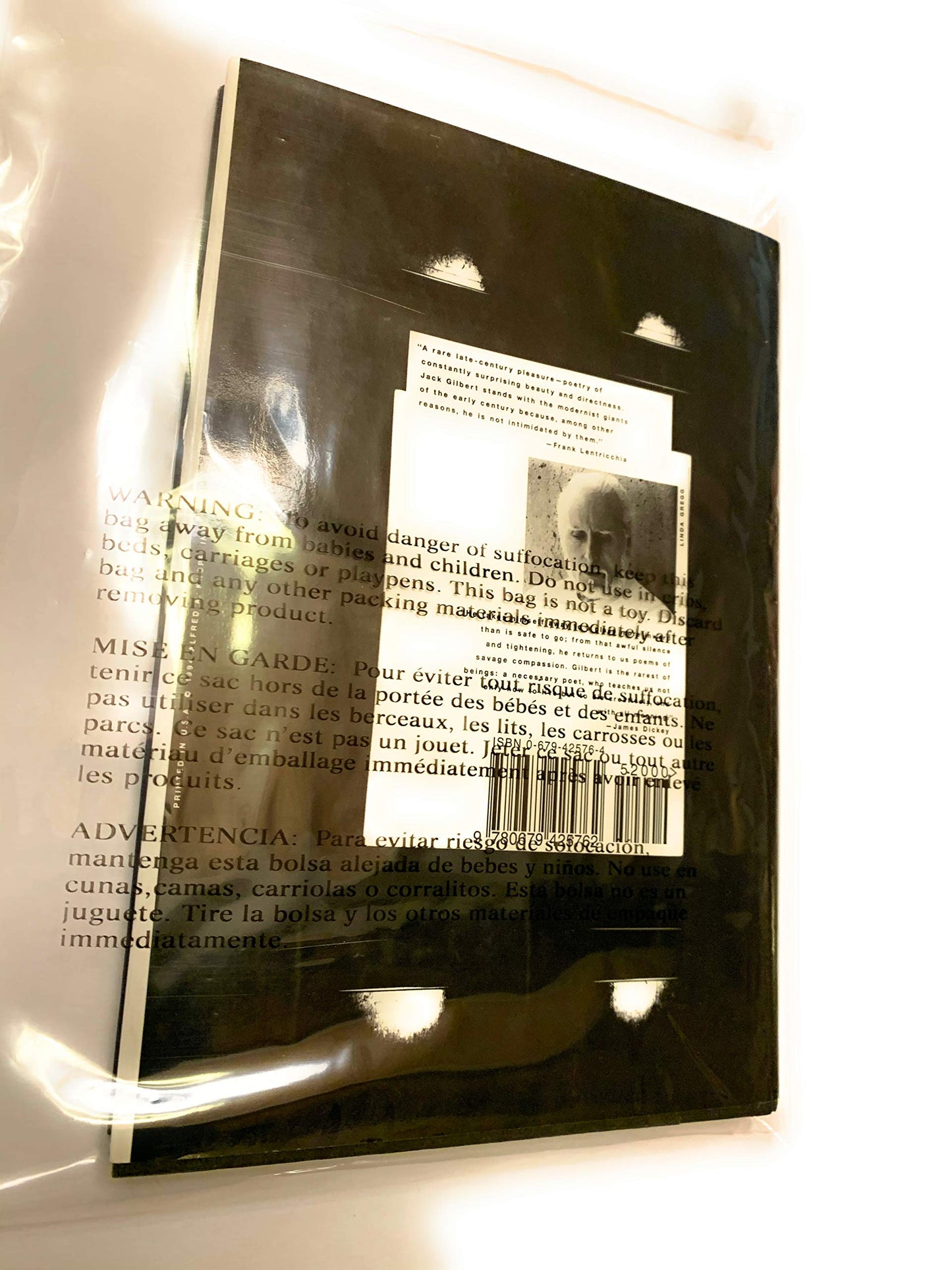 The Great Fires: Poems, 1982-1992