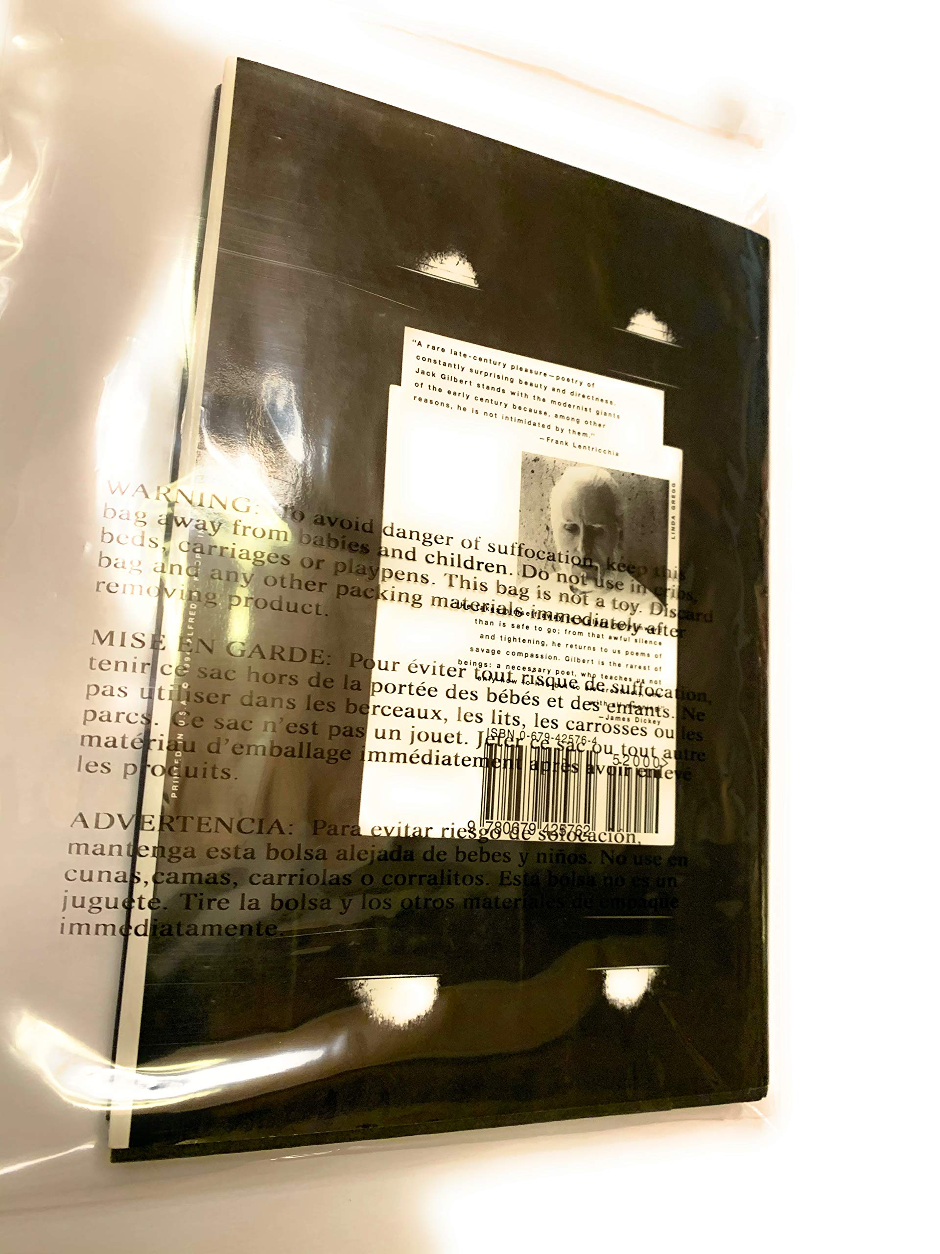The Great Fires: Poems, 1982-1992