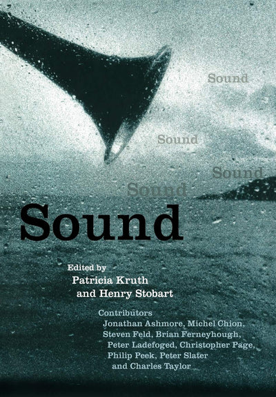 Sound (Darwin College Lectures, Series Number 11)