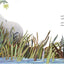 A Stone Sat Still: (Environmental and Nature Picture Book for Kids, Perspective Book for Preschool and Kindergarten, Award Winning Illustrator) (Brendan Wenzel)