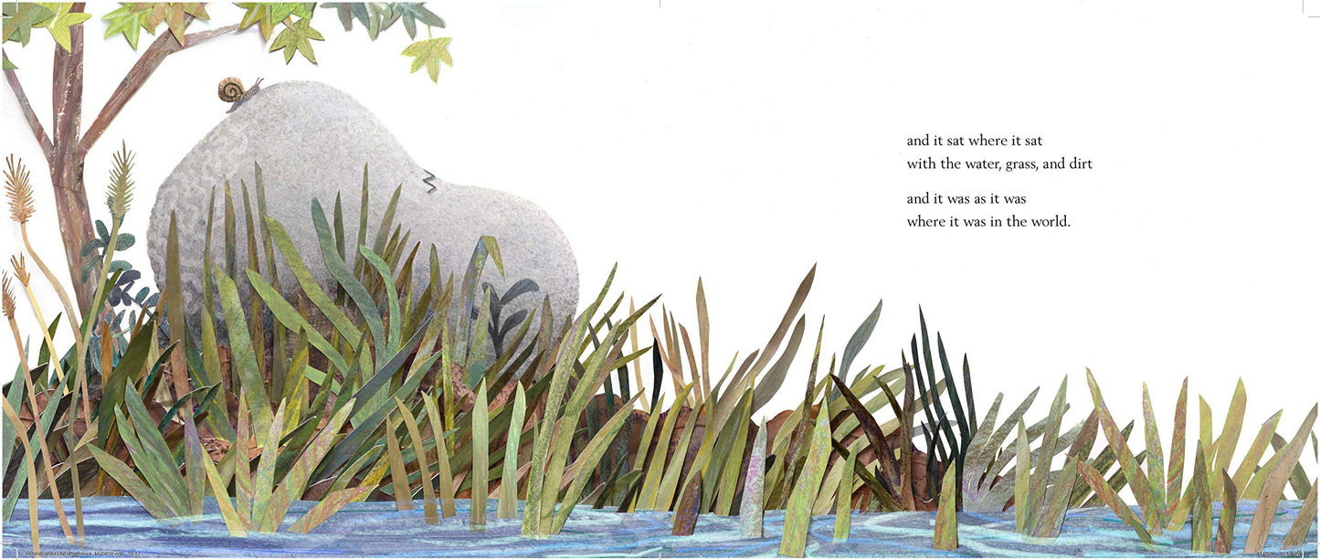 A Stone Sat Still: (Environmental and Nature Picture Book for Kids, Perspective Book for Preschool and Kindergarten, Award Winning Illustrator) (Brendan Wenzel)