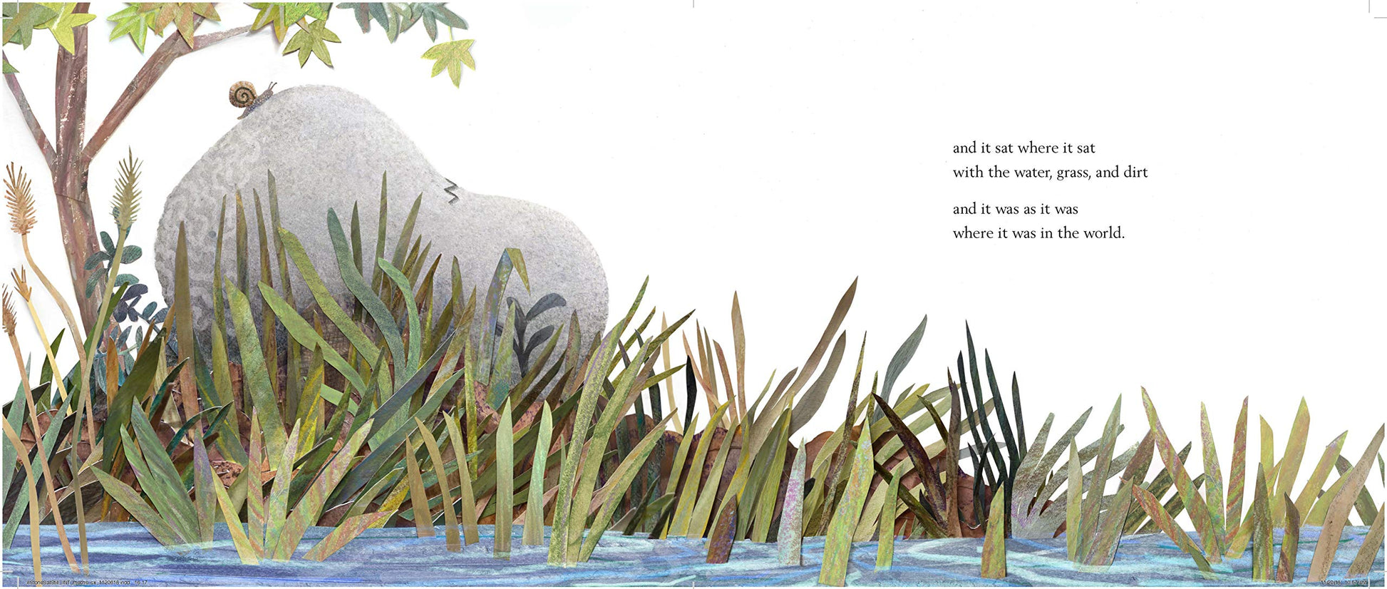 A Stone Sat Still: (Environmental and Nature Picture Book for Kids, Perspective Book for Preschool and Kindergarten, Award Winning Illustrator) (Brendan Wenzel)