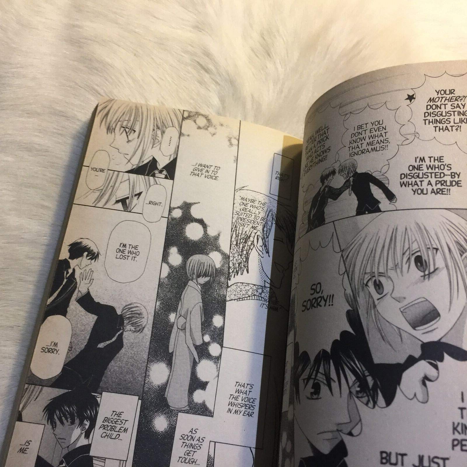 Fruits Basket, Vol. 13