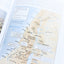 Illustrated Bible Survey: An Introduction