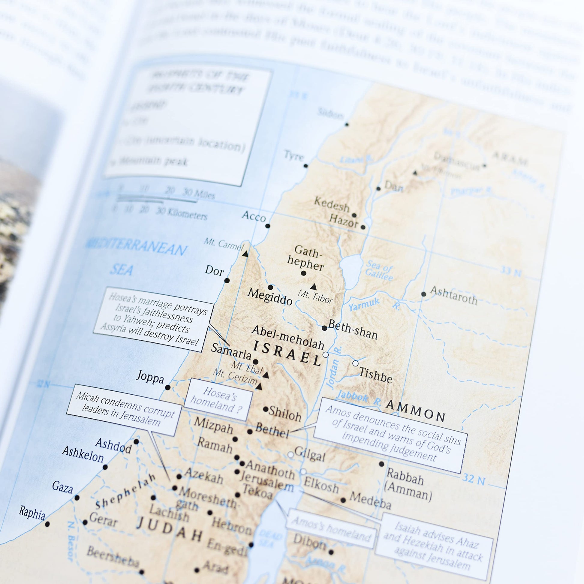 Illustrated Bible Survey: An Introduction